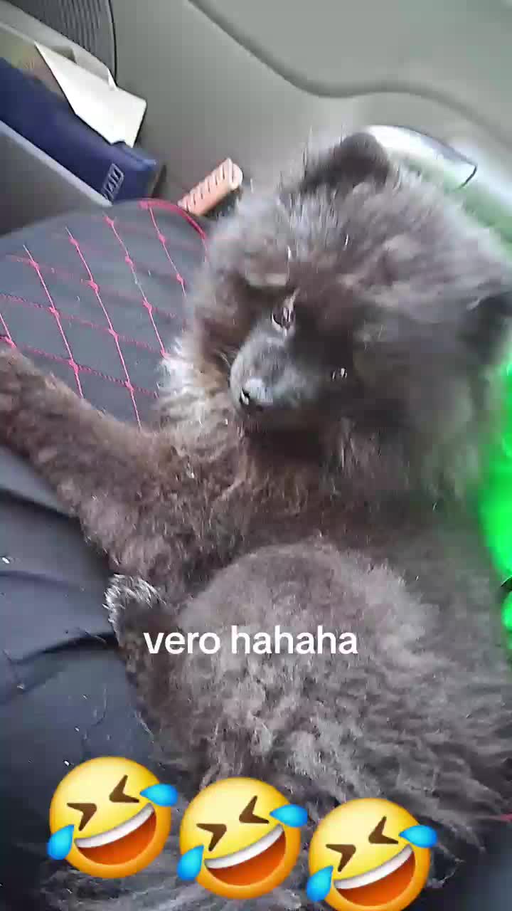 @Assuntacastellano1