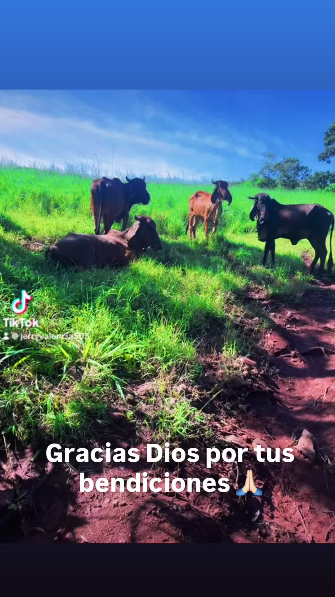 @Jerry Rodriguez