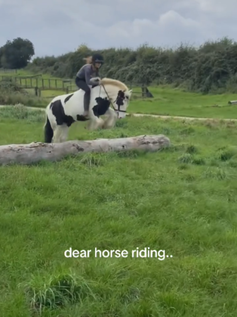 @Horses TikTok