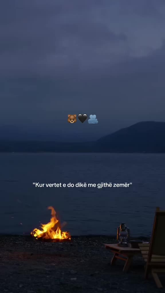 @🧸 🖤🐻