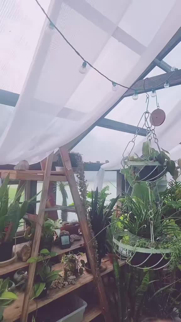 @plantymama🍄🪴💚
