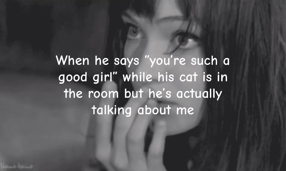 @🐾