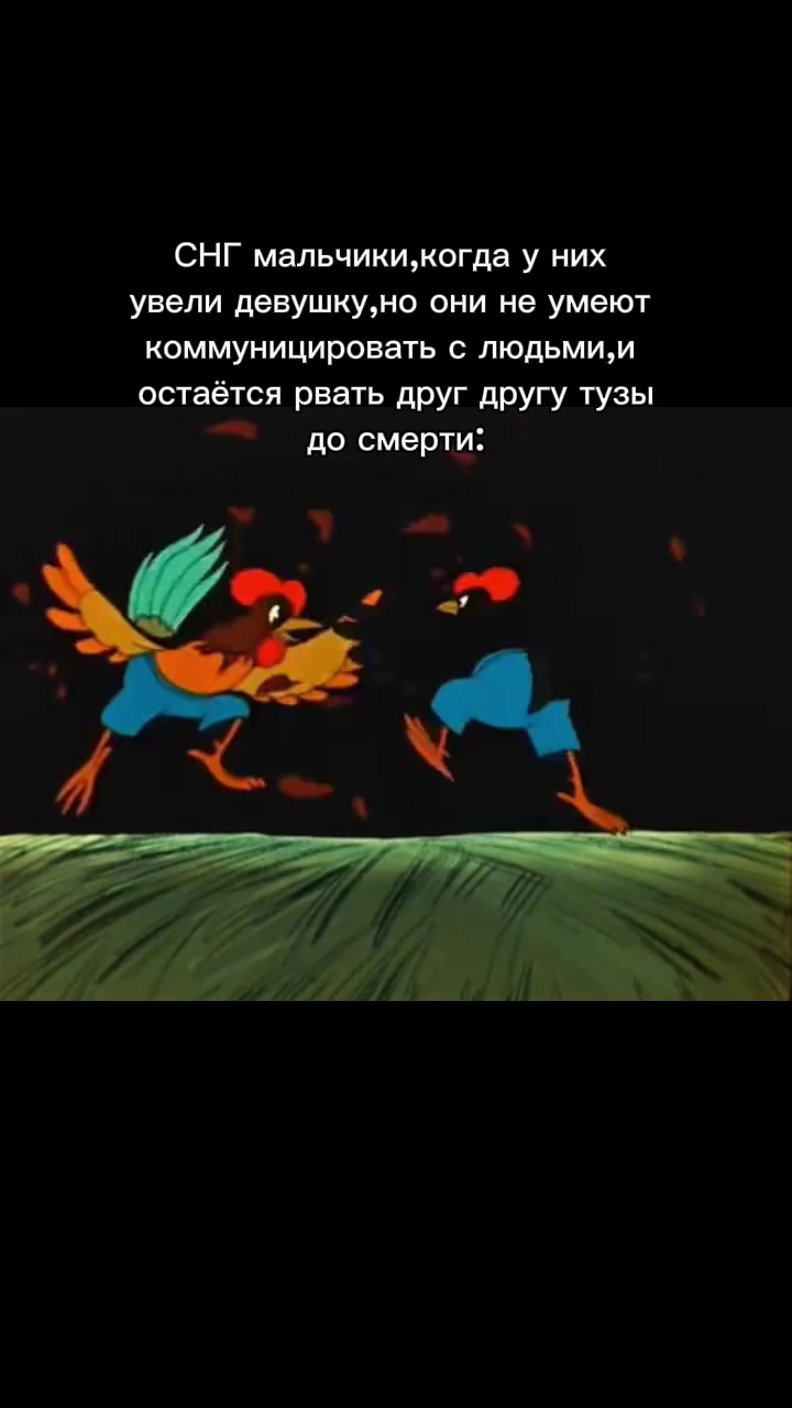 @Pigeon🐦