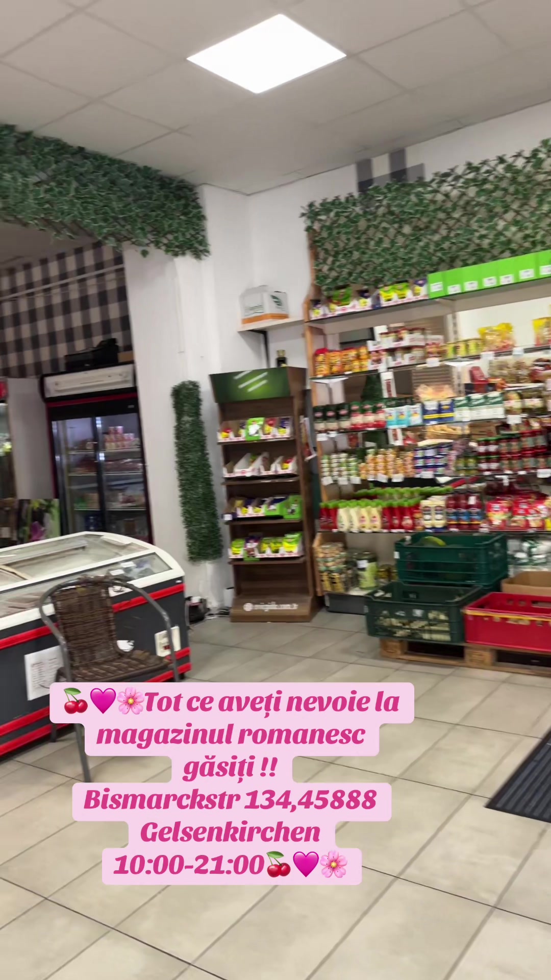 @Gustul De Acasă Gelsenkirchen