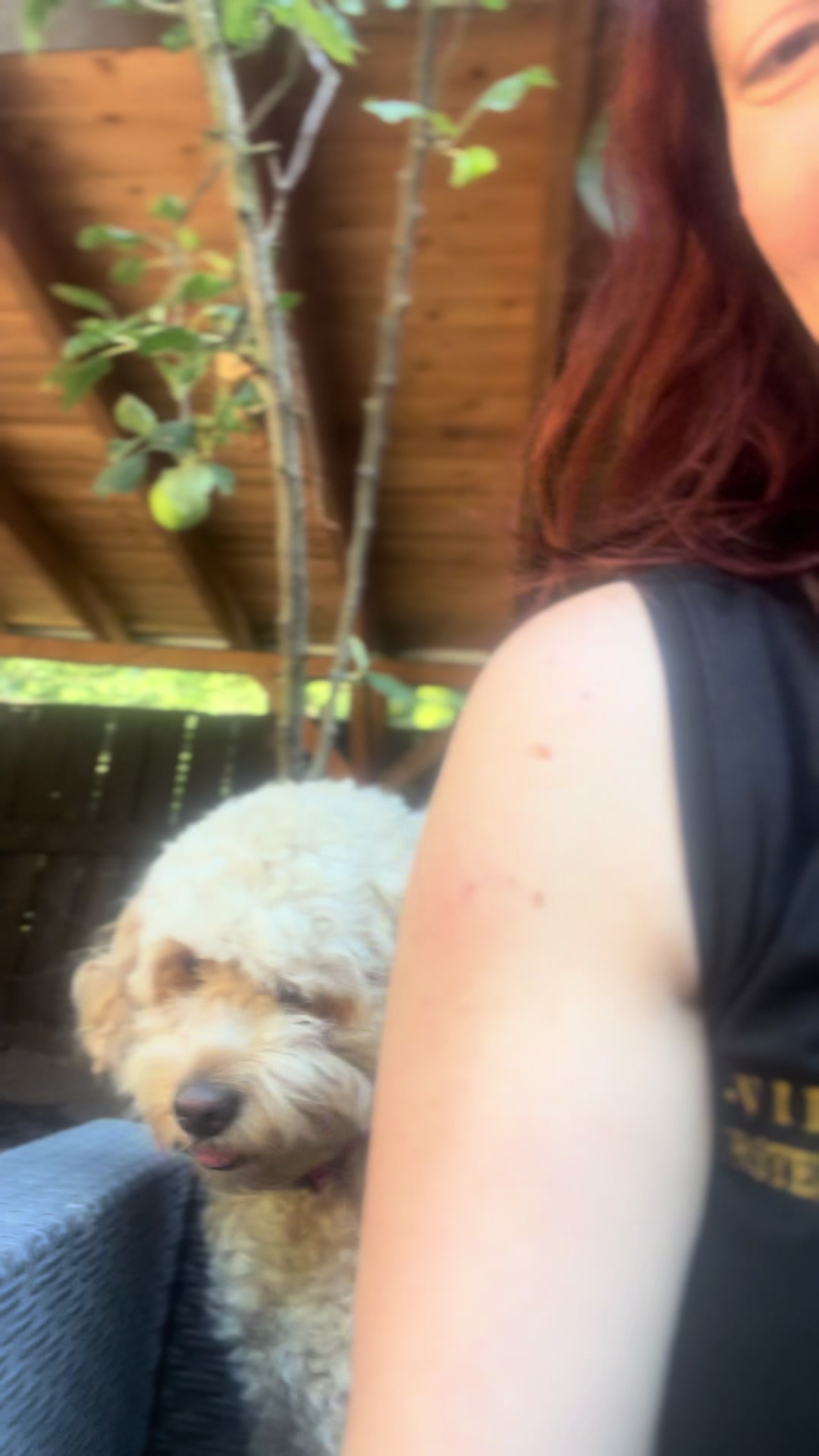 @Hunde- und Katzenpension