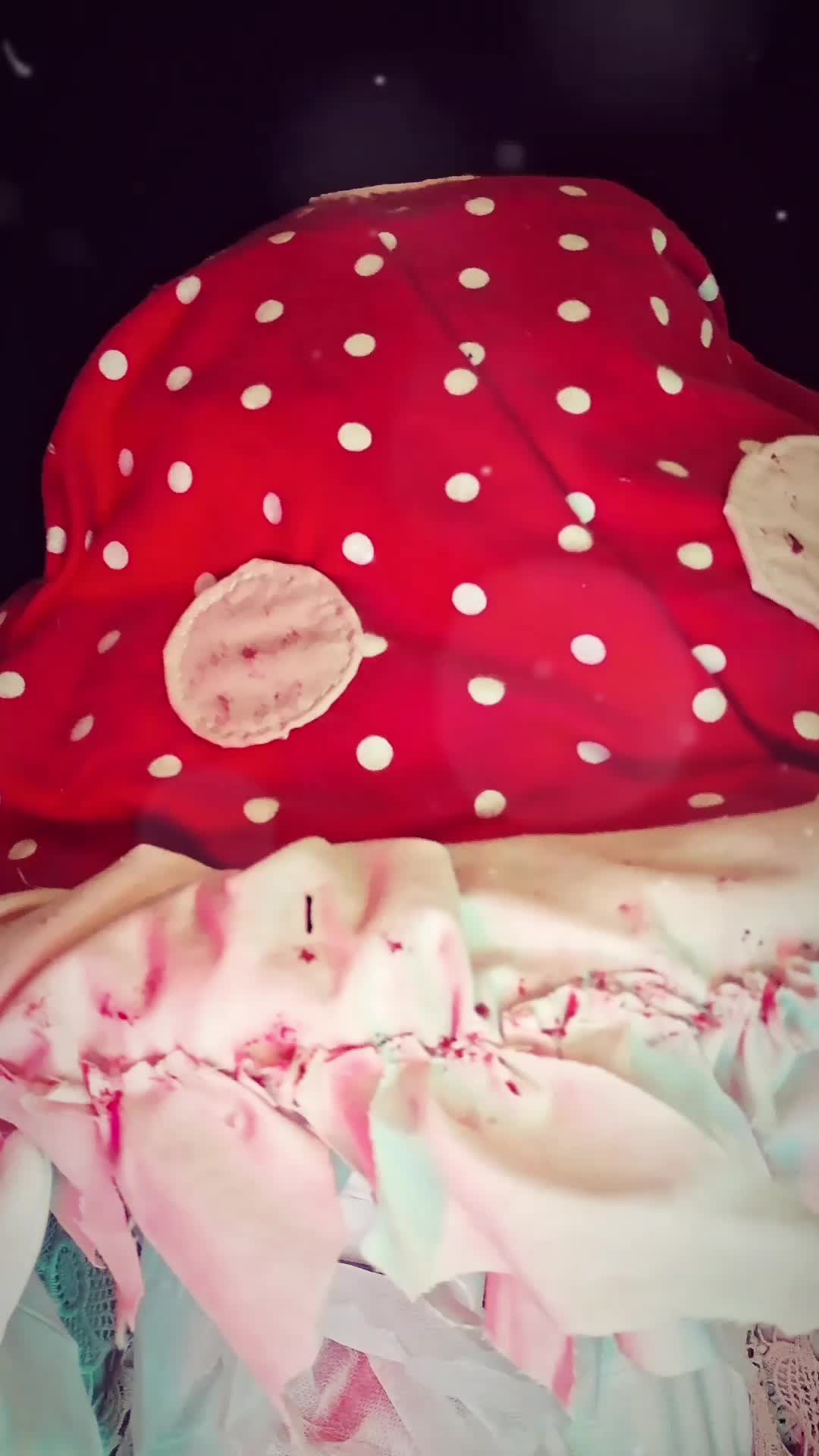 @Bepop Cosplayer