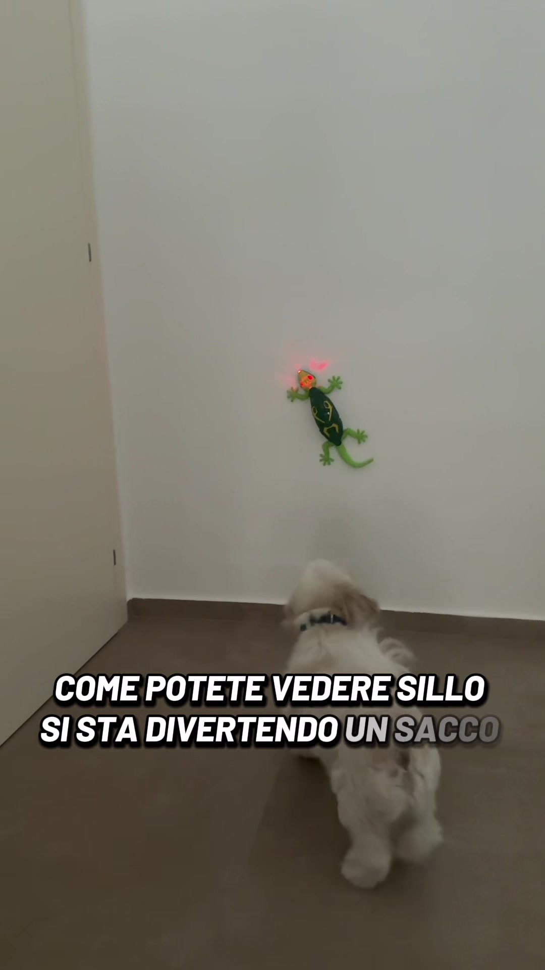 @la_maresca