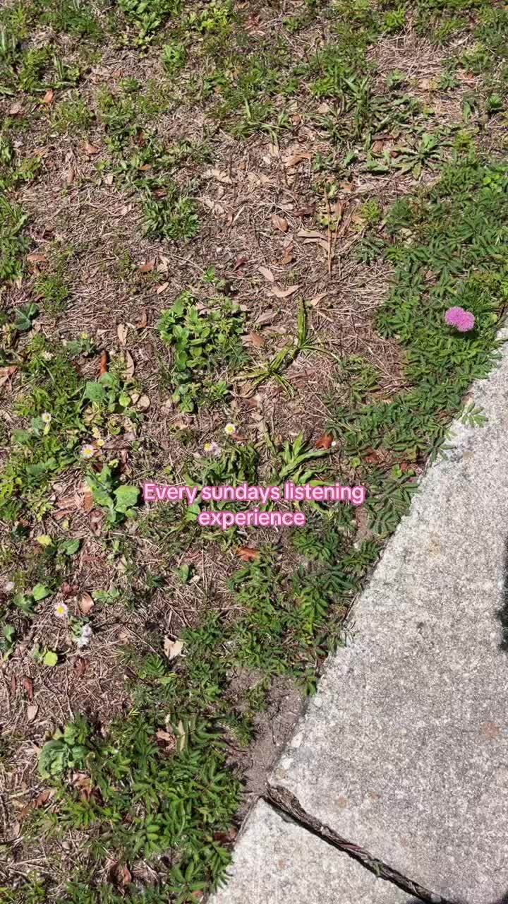 @thesundayslover99