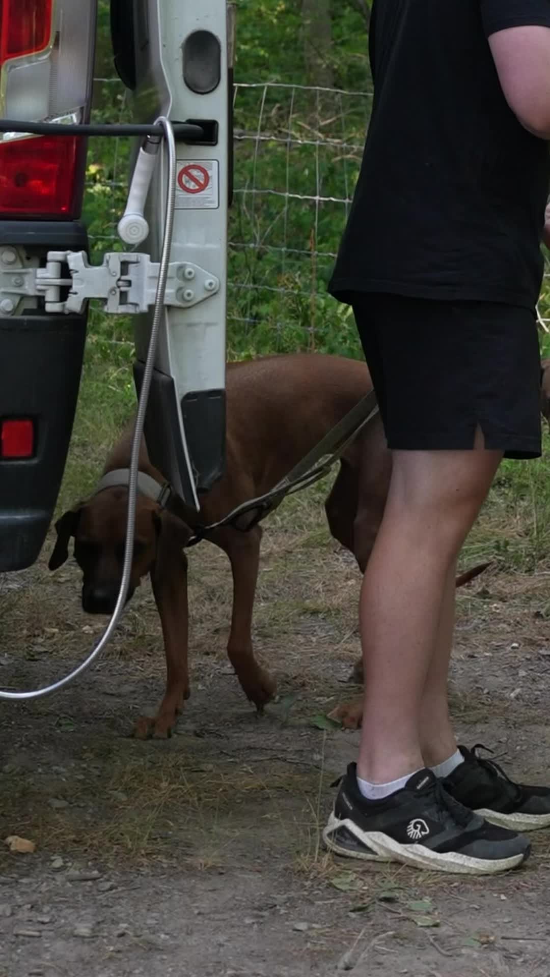 @Ridgeback Diaries