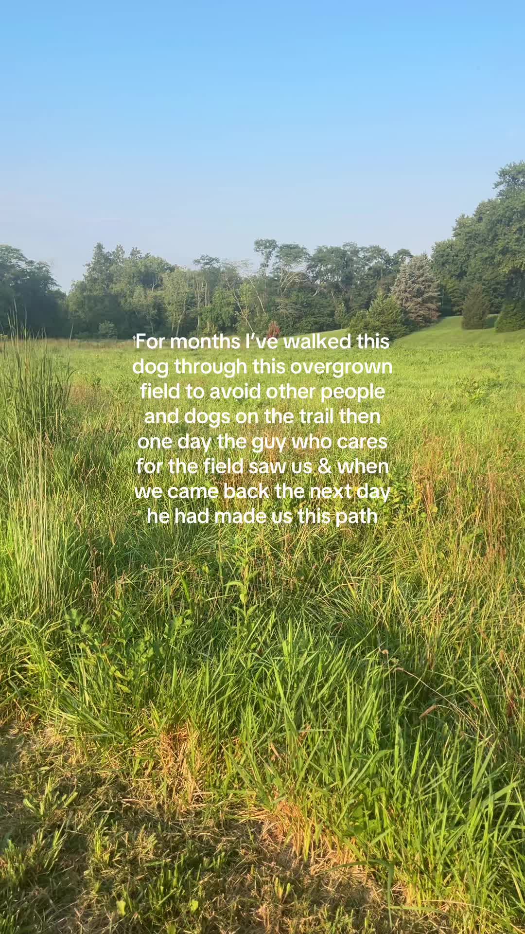 @tcnoodlesoup