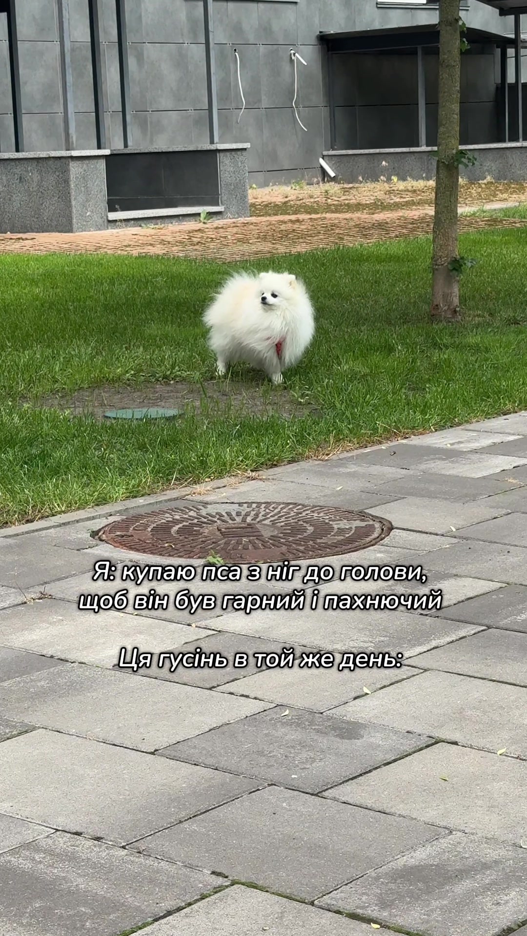 @Ліля з ТікТоку 💃