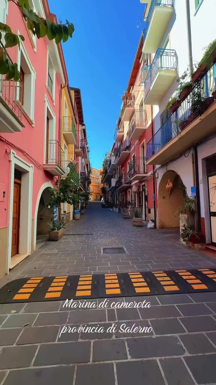 @Antonia Vecchi