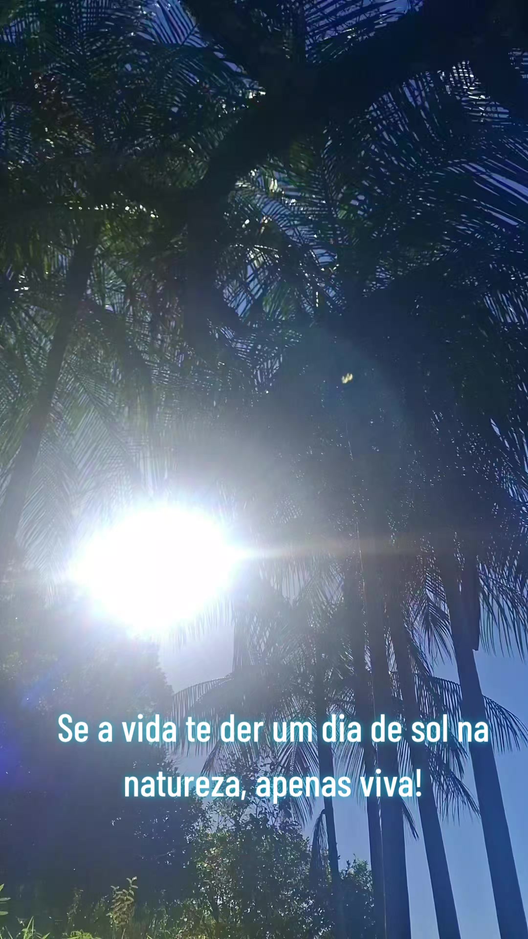 @Vanessa Dos Santos
