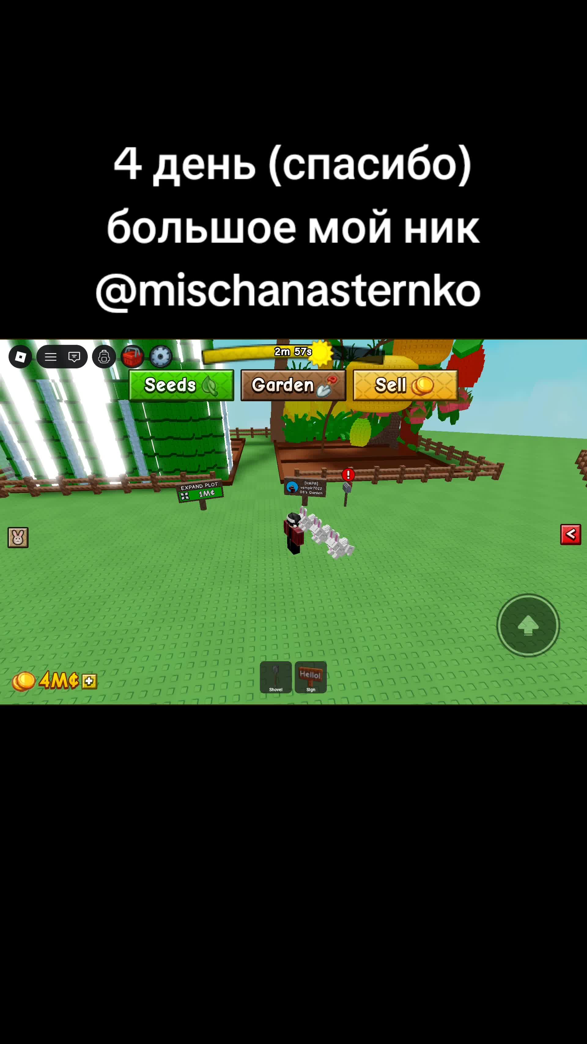 @Blox fruits accunt