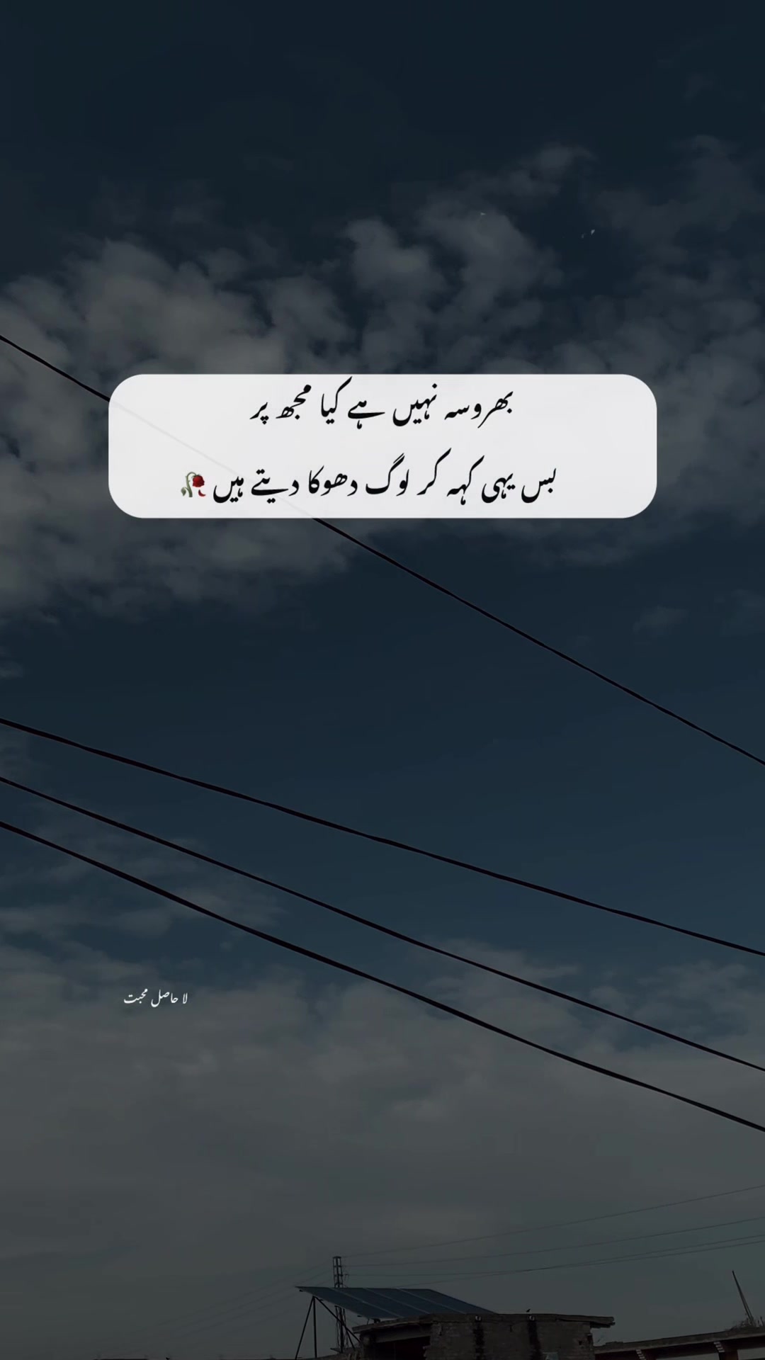 @لا حاصل محبت💔