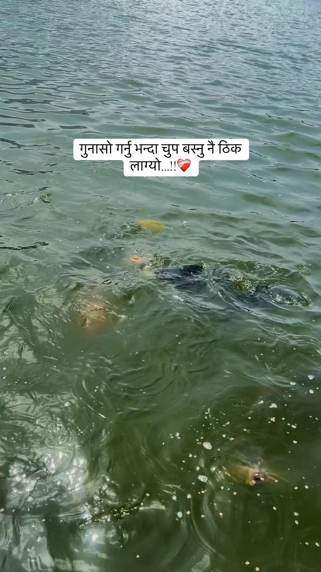 @👩🏻&zwj;🦰👩🏻&zwj;🦰👩🏻&zwj;🦰👩🏻&zwj;🦰