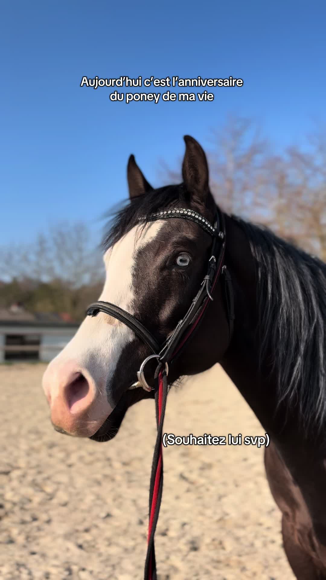 @ℳ𝒶𝓇𝑔𝒶𝓊𝓍🇧🇪