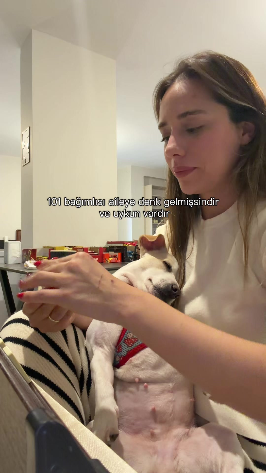 @avanmerve