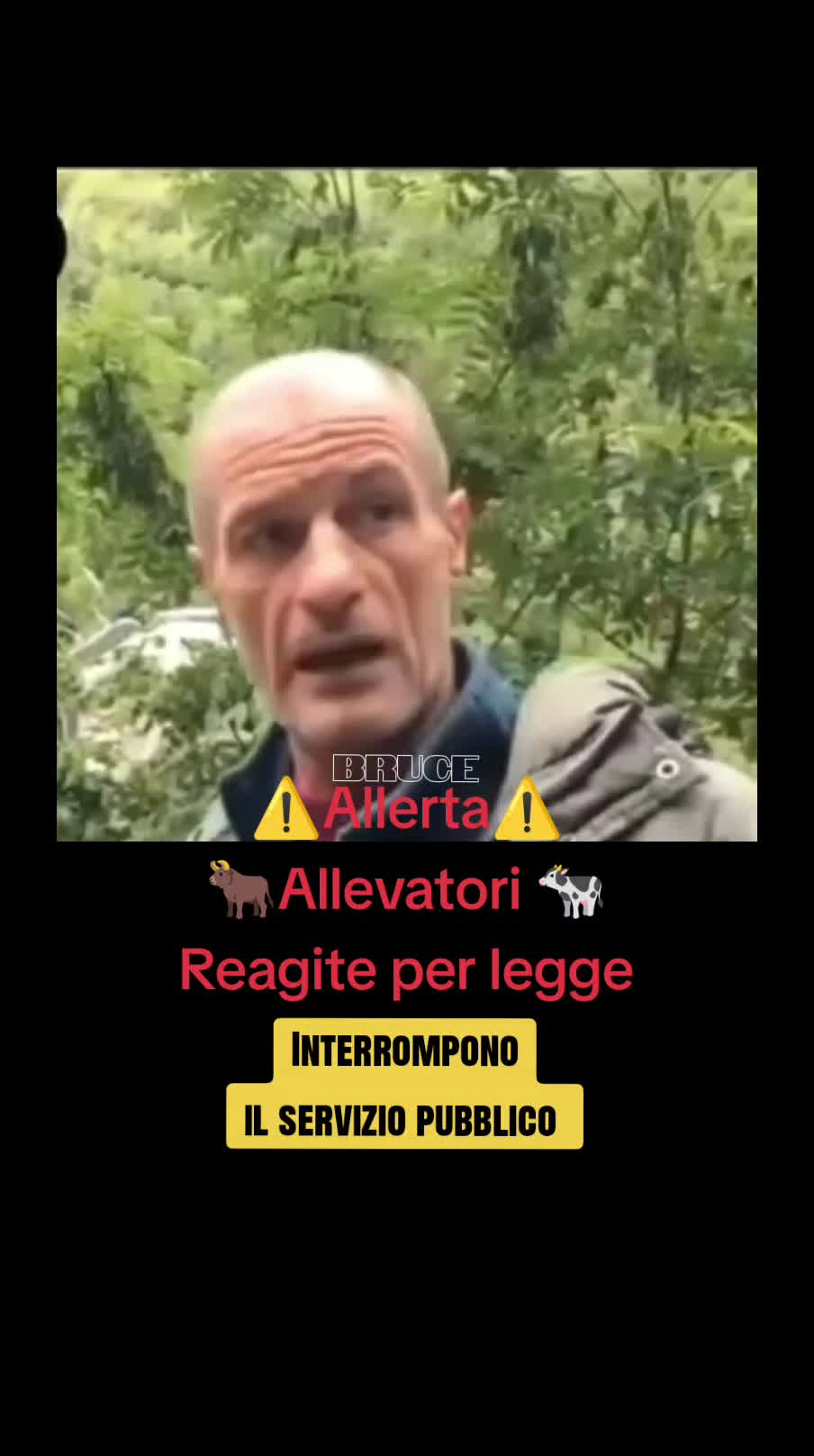@BRUCE🇮🇹