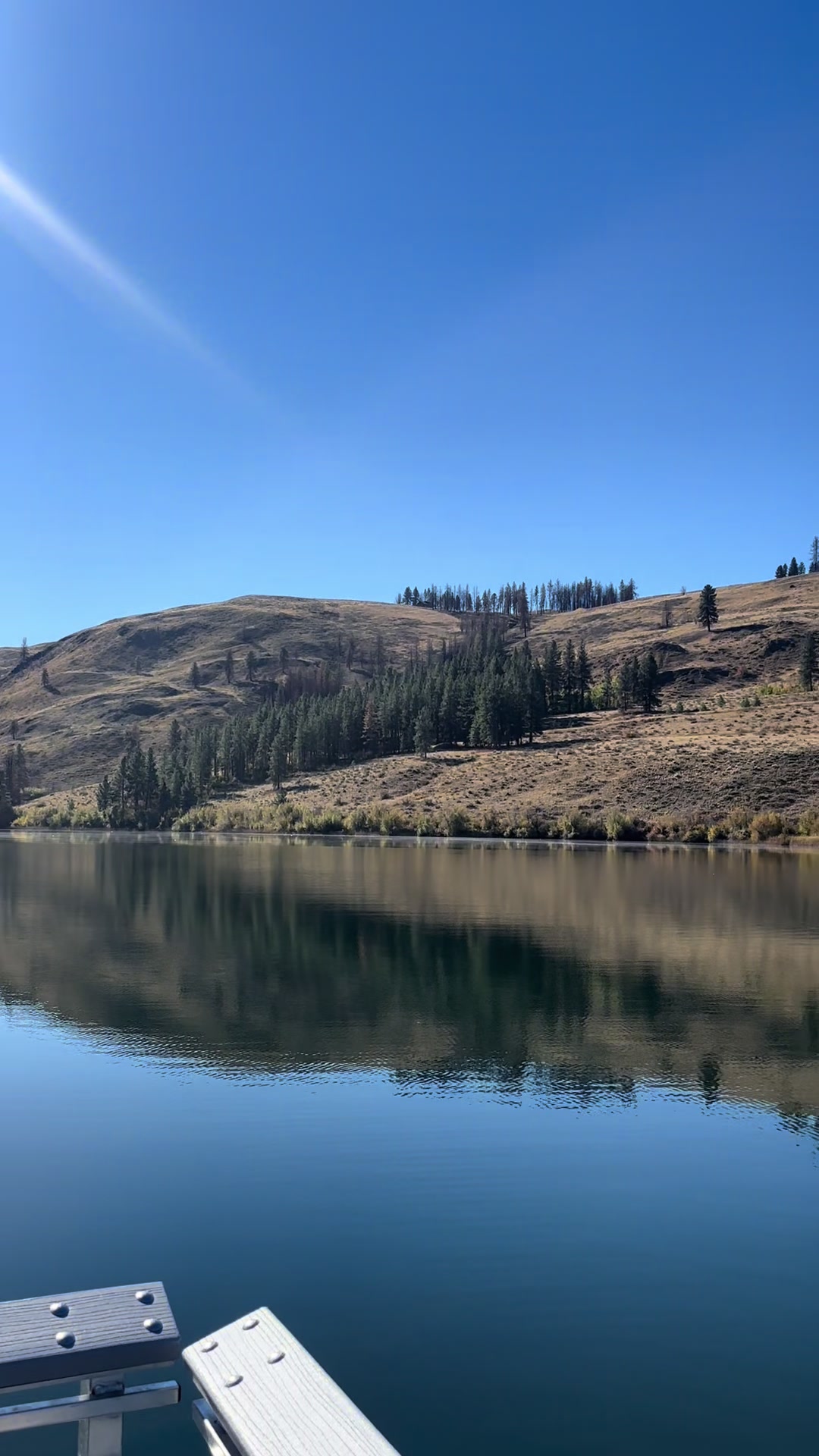 @LifeinthePNW