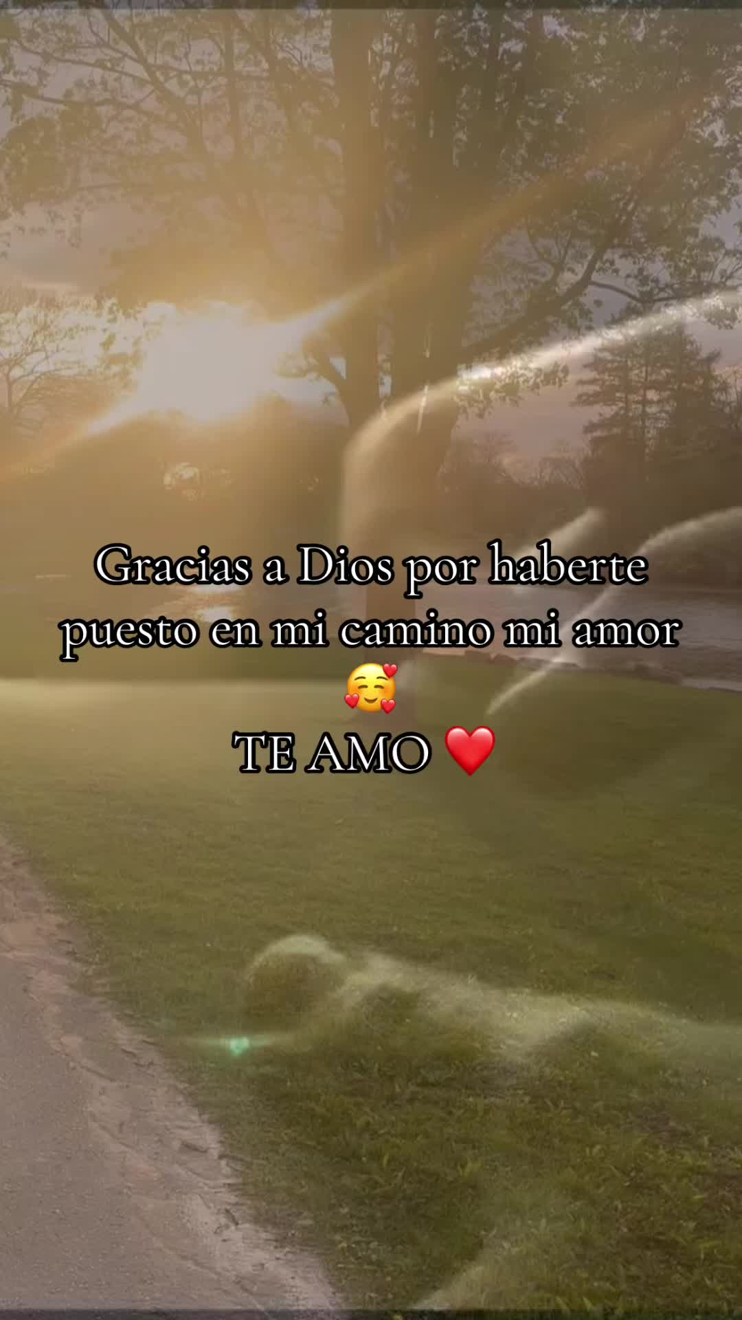 @🌻🌻Carolina G.🌻🌻