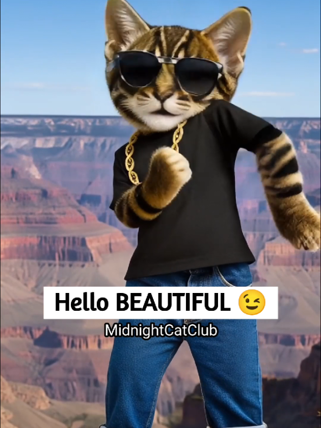 @MidnightCatClub