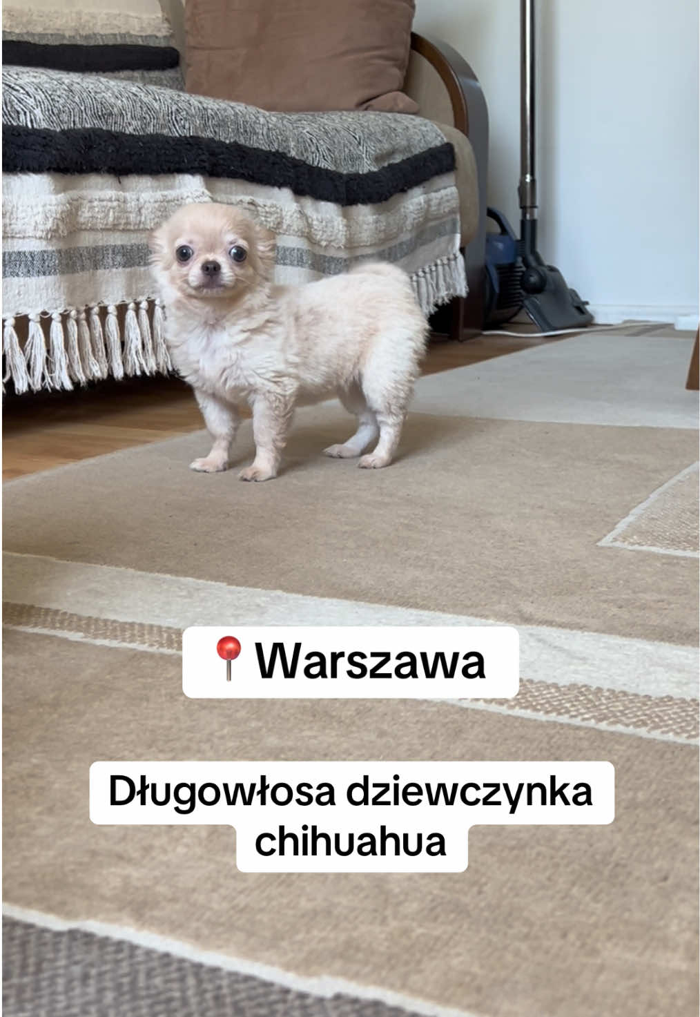@Ulybki_lilu