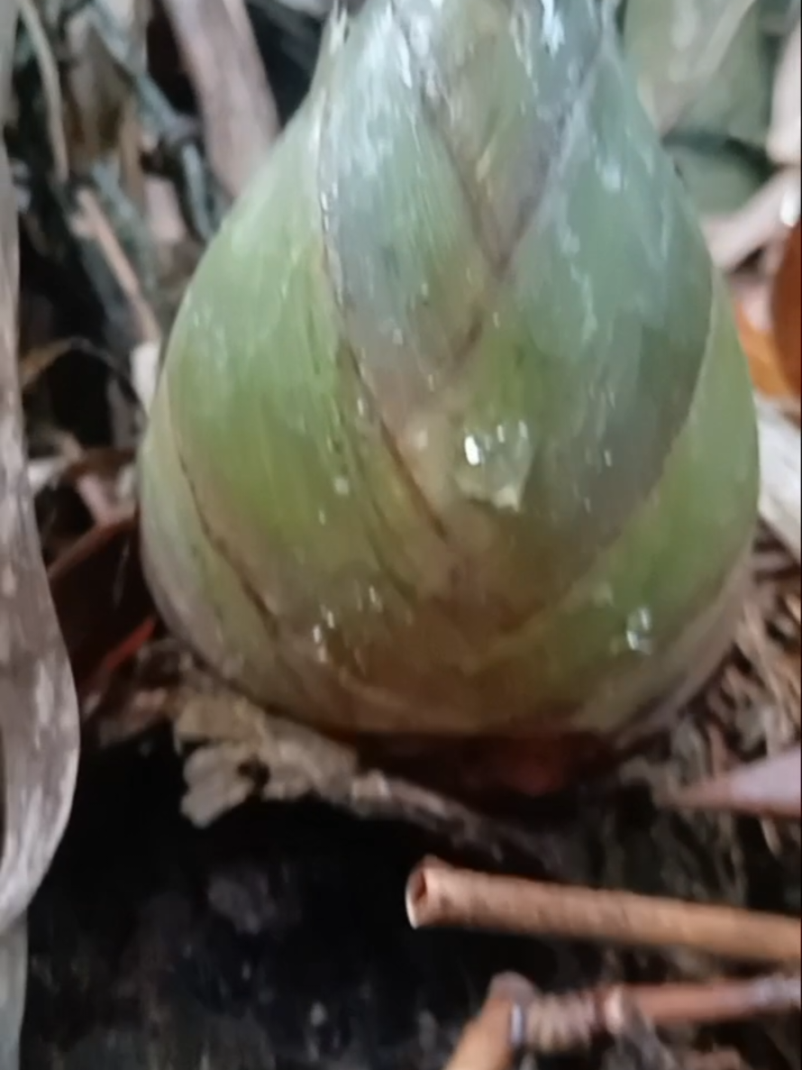 @Tạp hóa Khang Khang