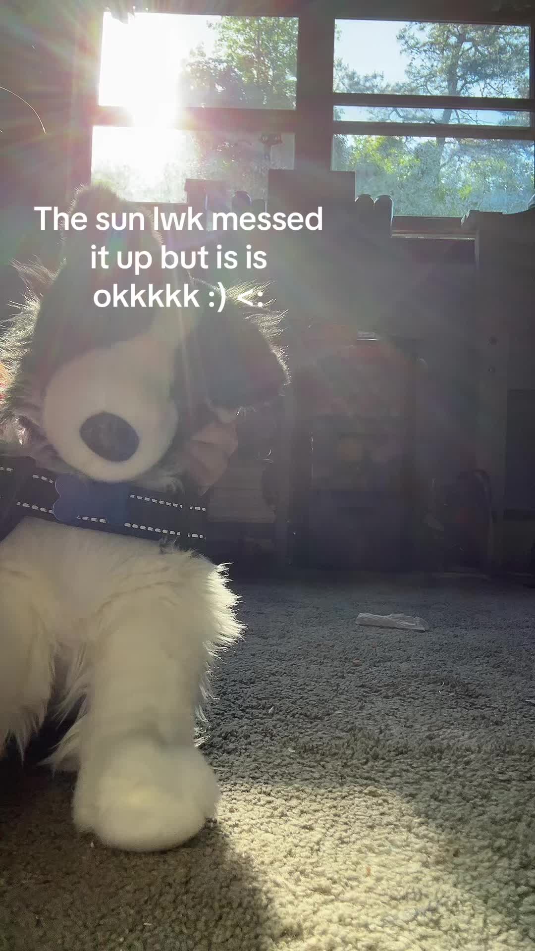 @‼️ 🐕🦺𝓸𝓹𝓪𝓵+𝓱𝓸𝓹𝓮✩🎧🎸