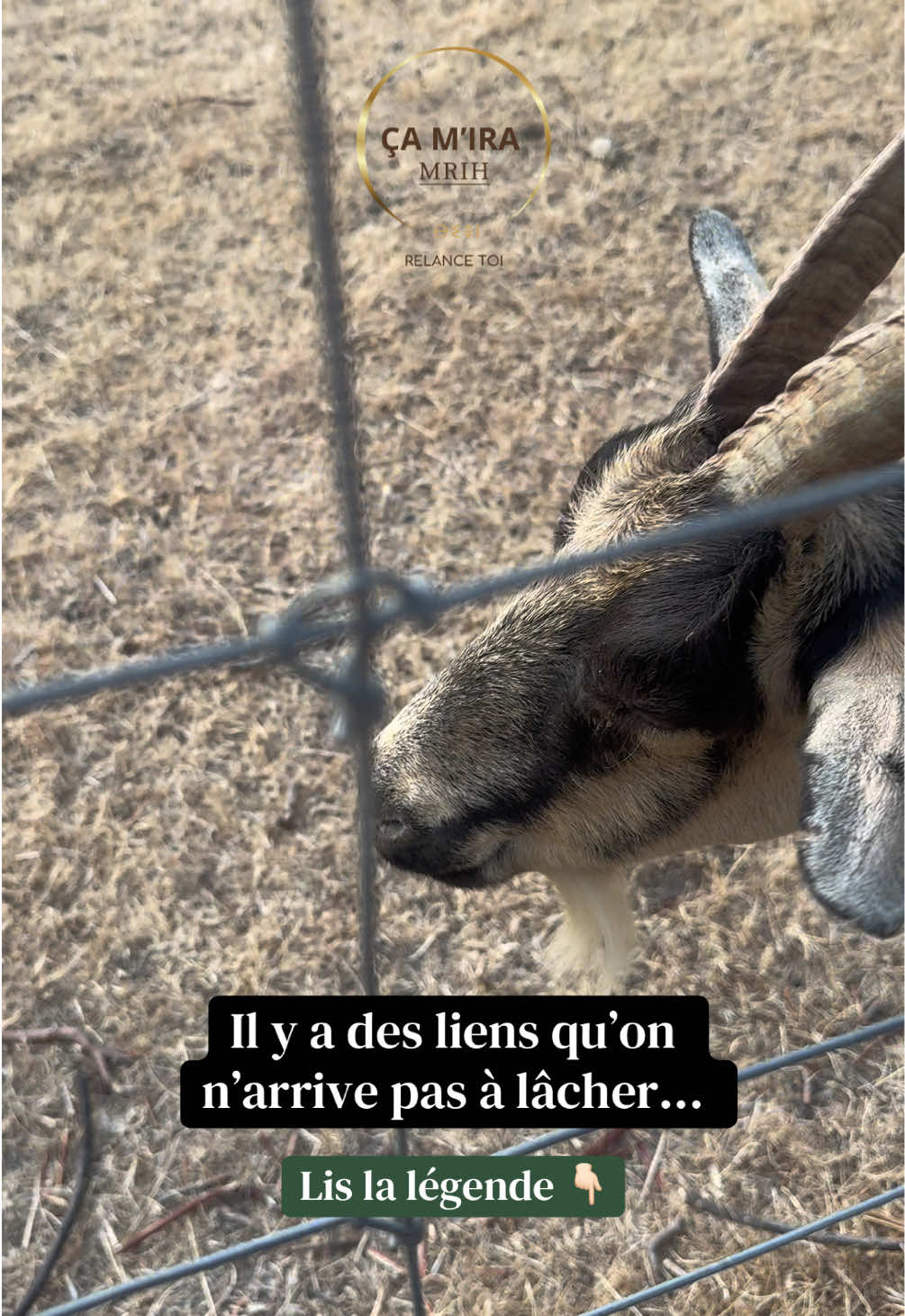 @Relance-toi|Corps &Émotions🧠!