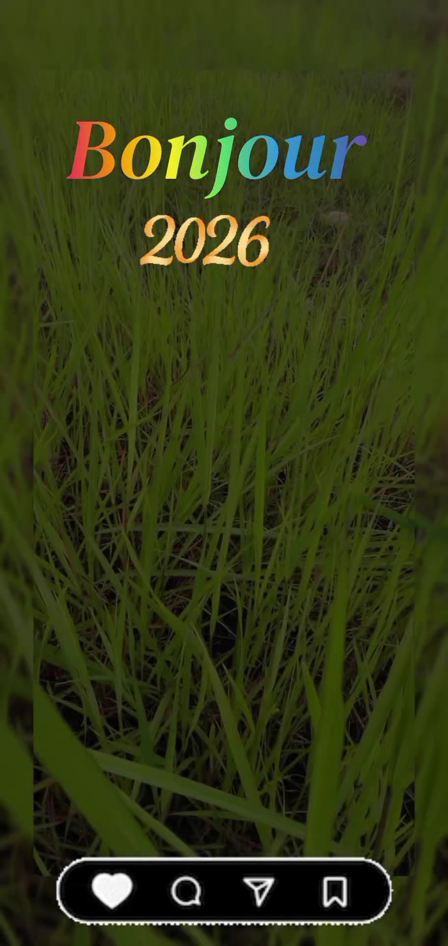 @ðŽðð
ðð ðŸðððð²