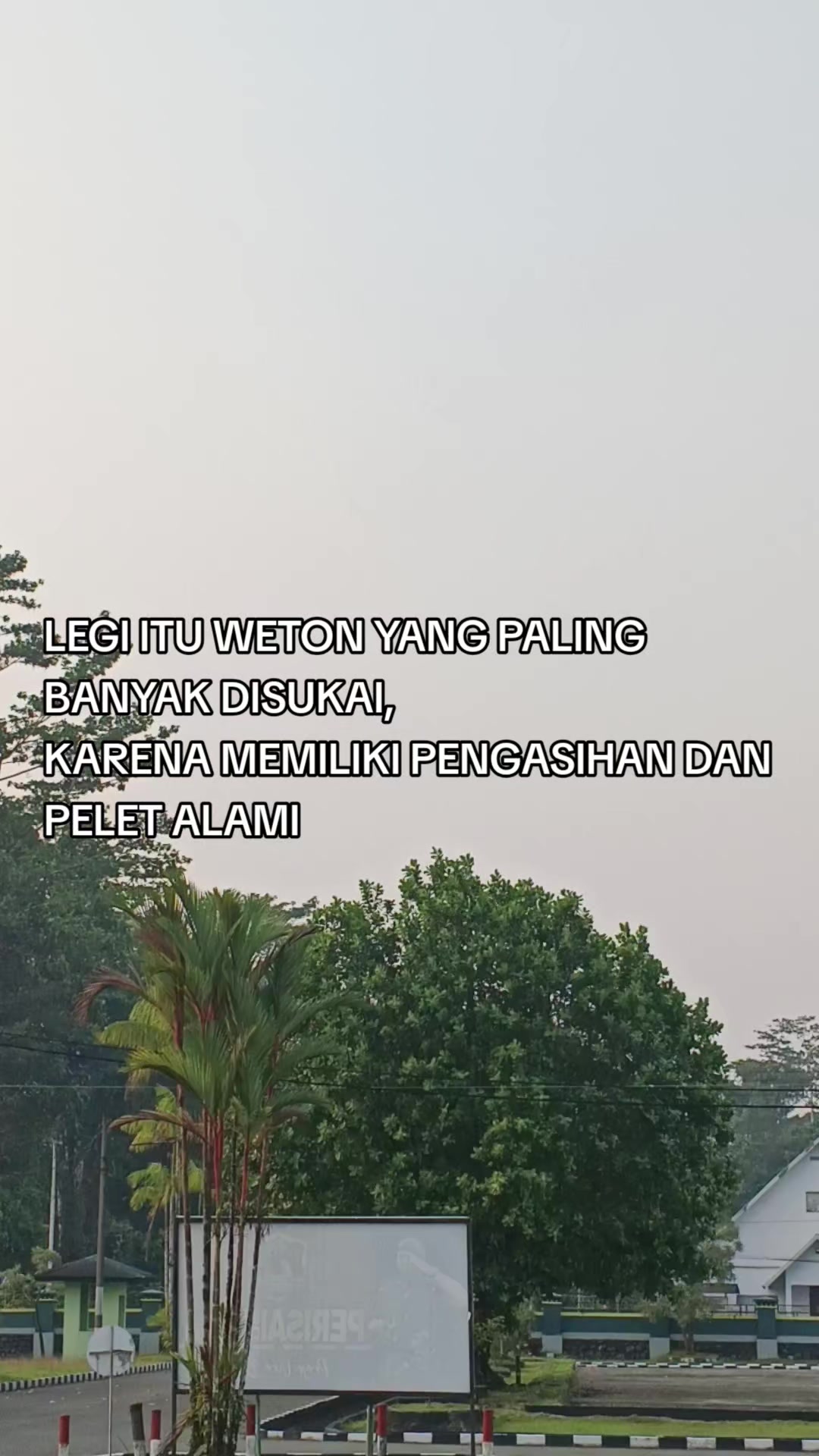 @Ardi project