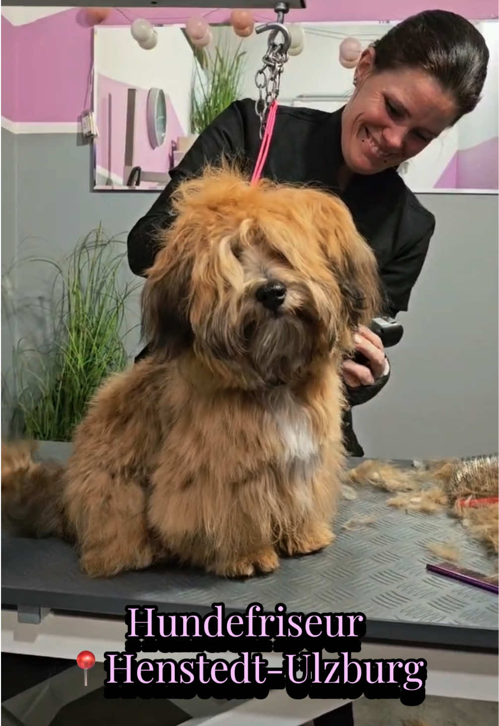@Shyva Hundezentrum