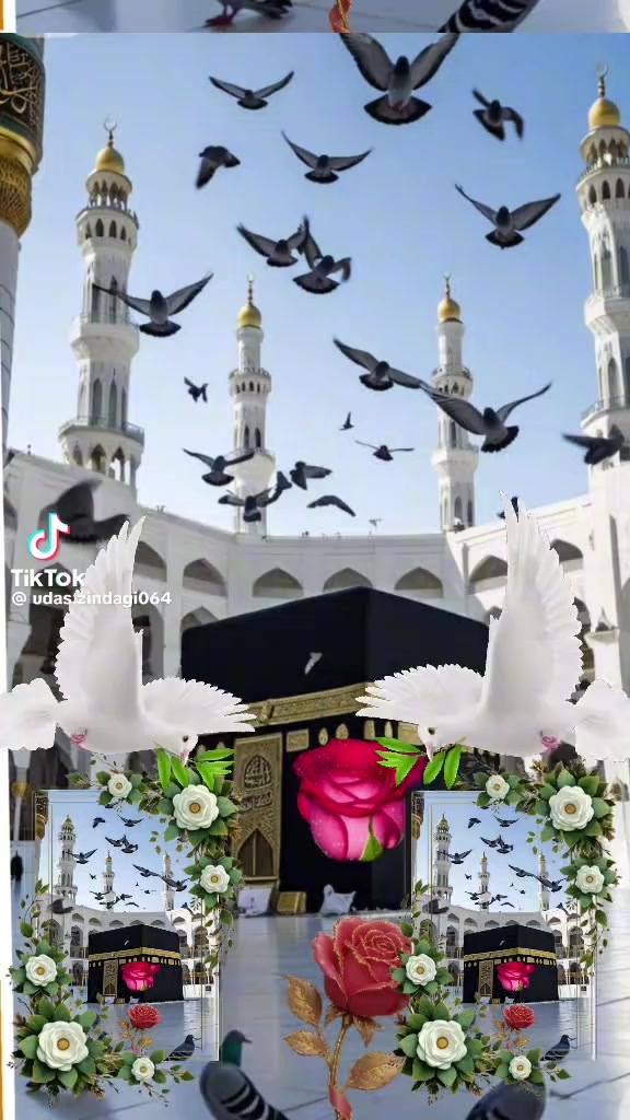 @amanataliali7292