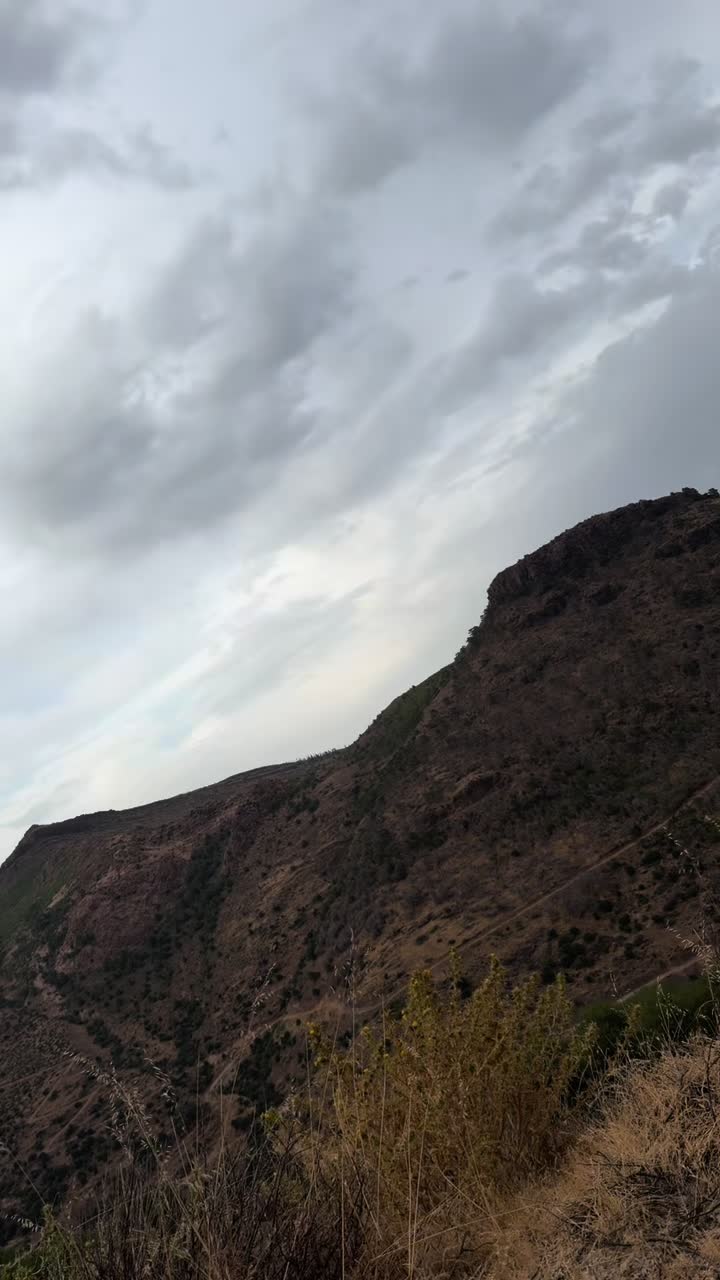 @ⵣ🌴