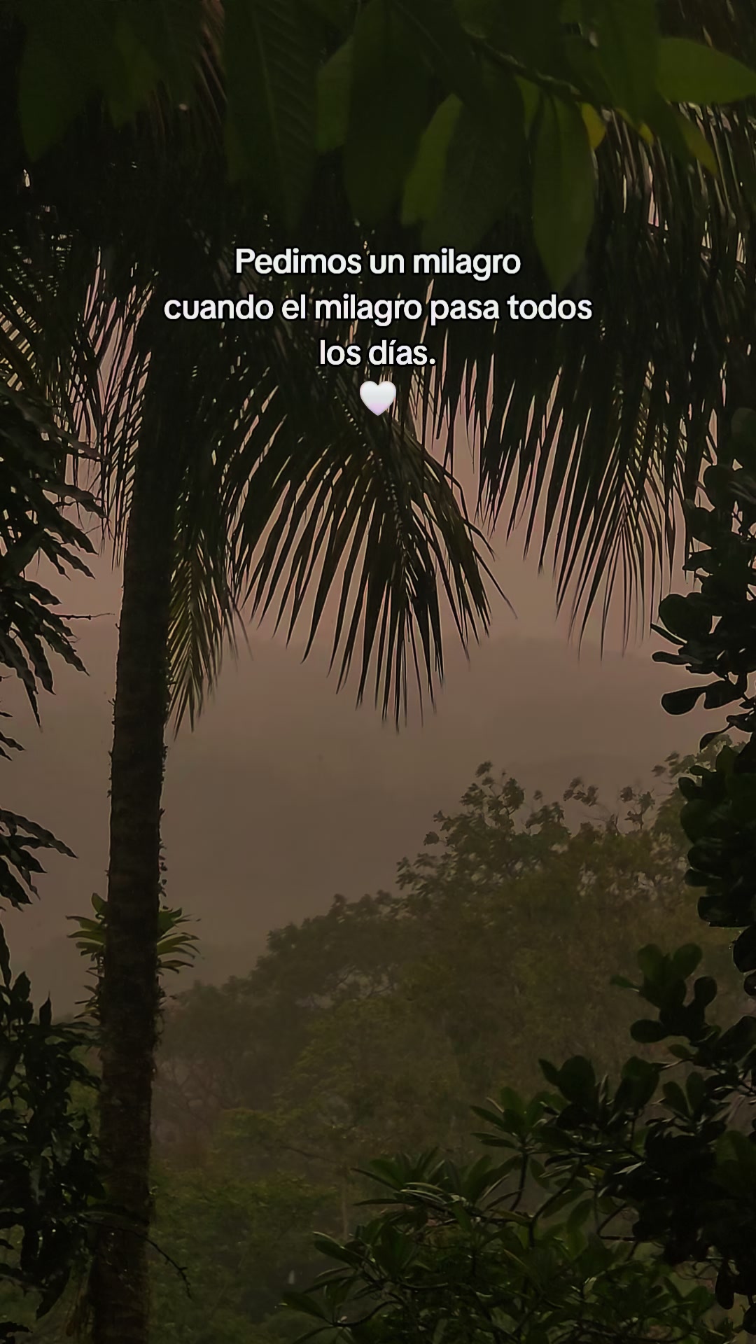 @Zoe🎀✨️
