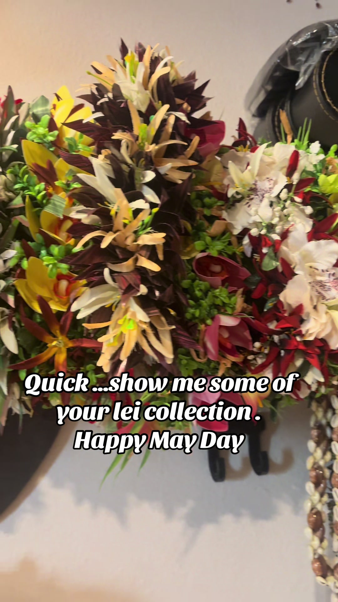 @Tutu & Papa Traveling the 🌏