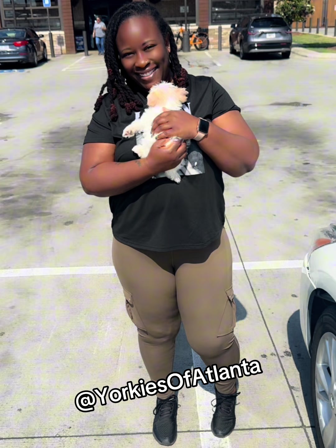 @Yorkies Of Atlanta
