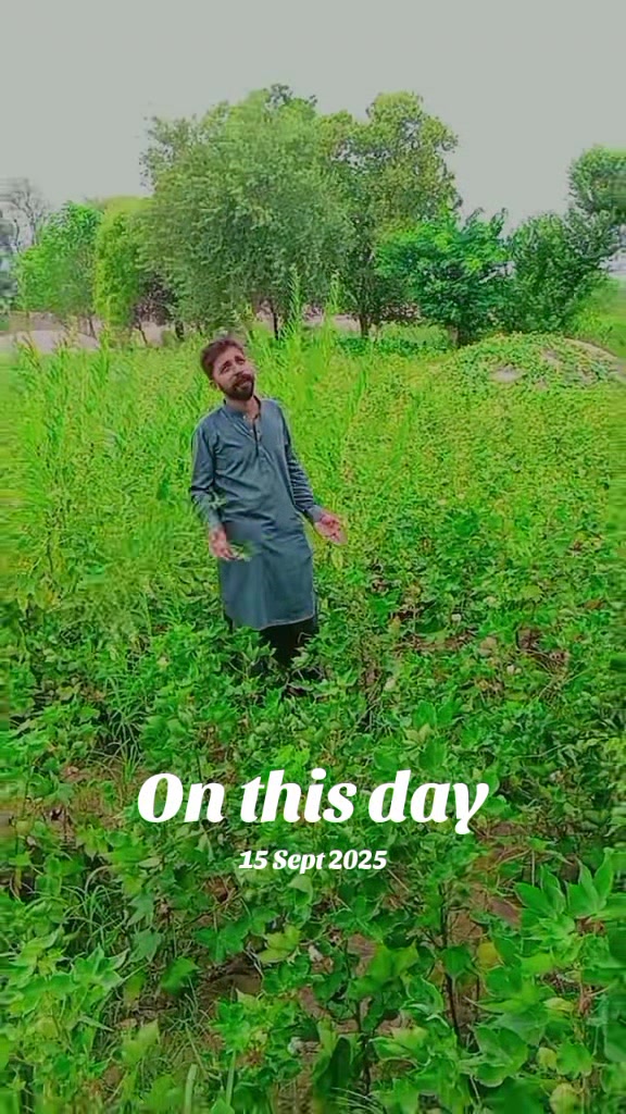 @Saleem Saleem