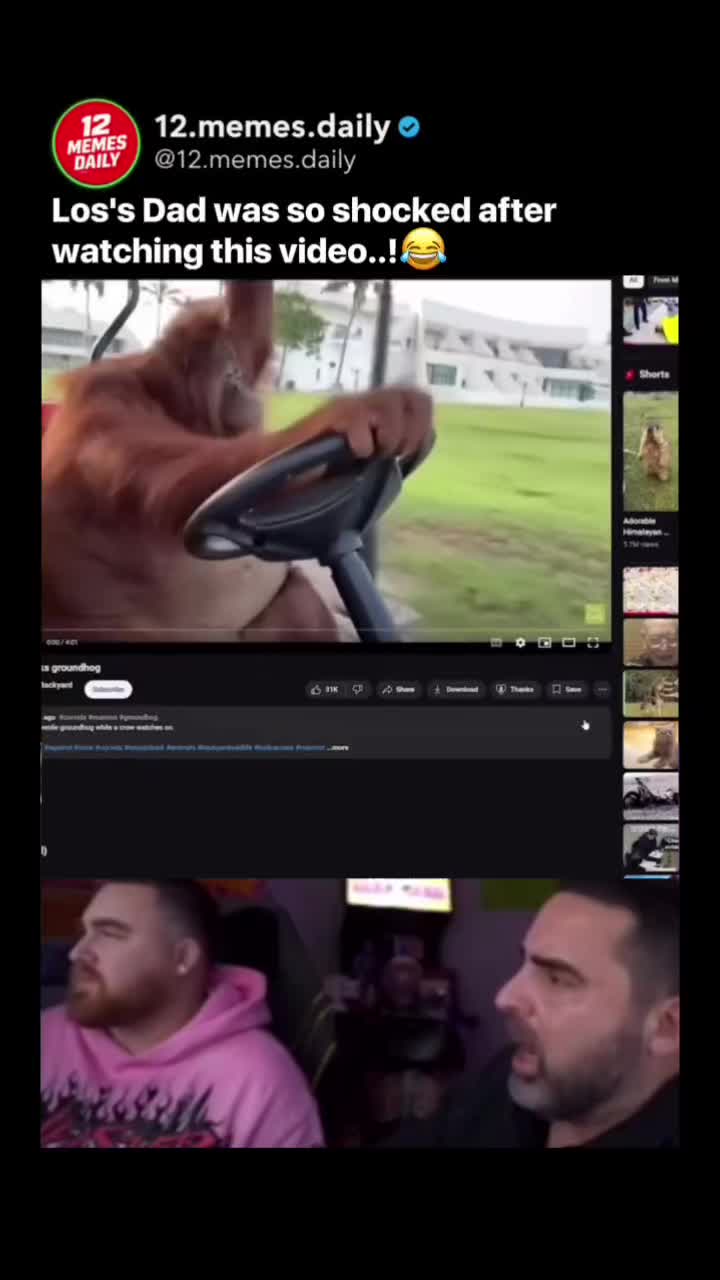 @SC