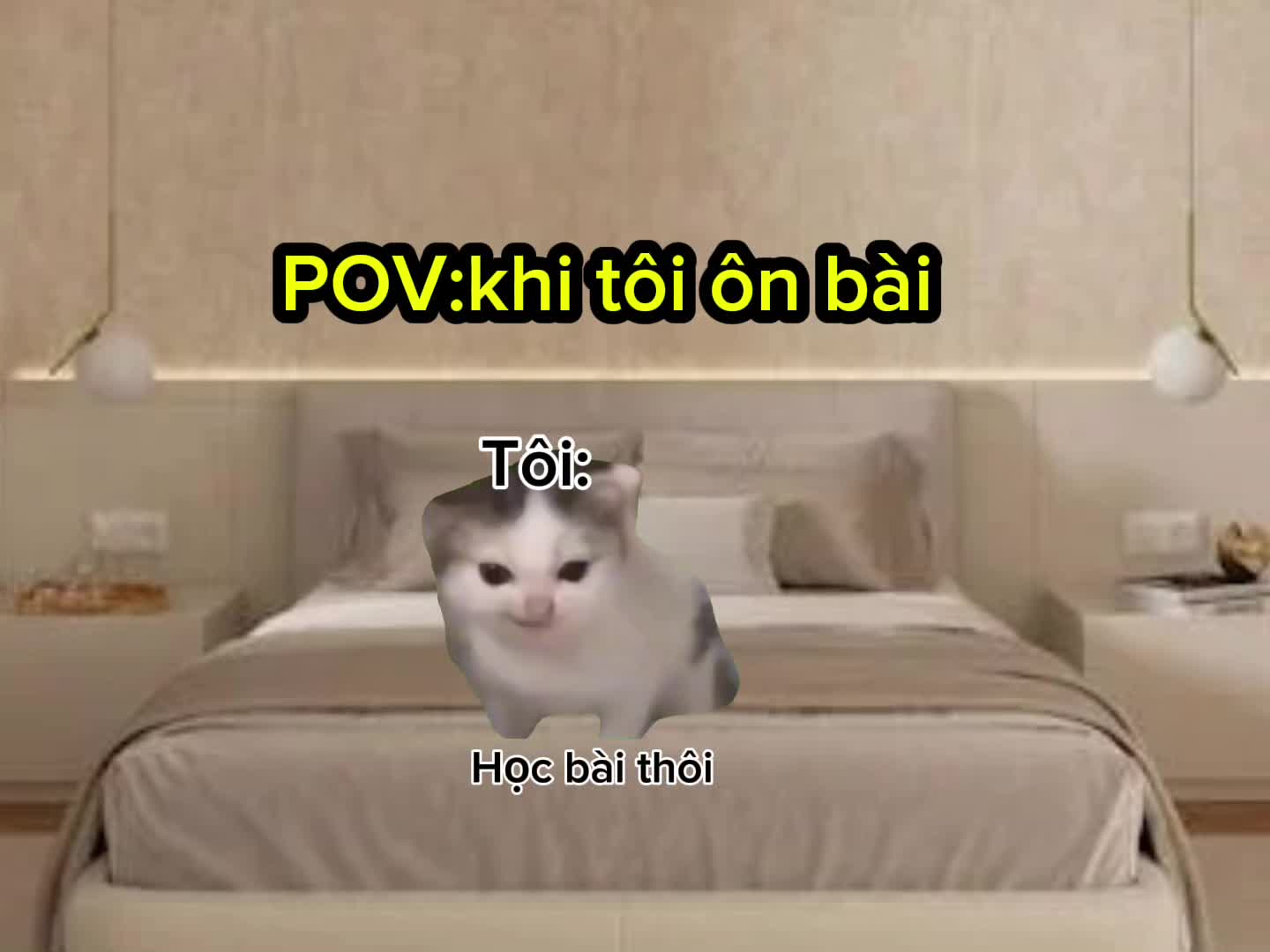 @Mewmeme