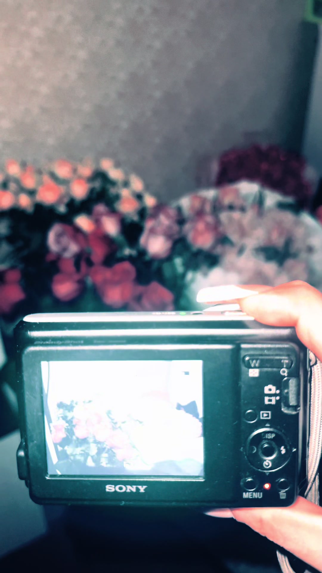 @oleckaa ⋆˚𝜗𝜚˚