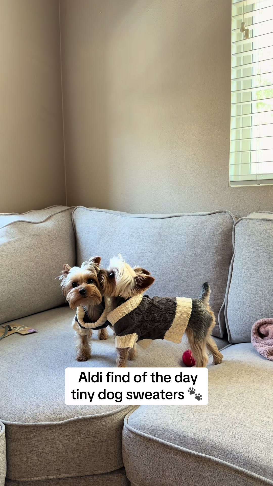 @Milo & Mia 🐾