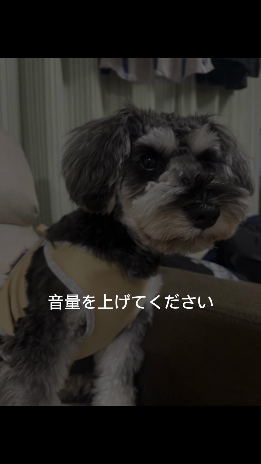 @haruto