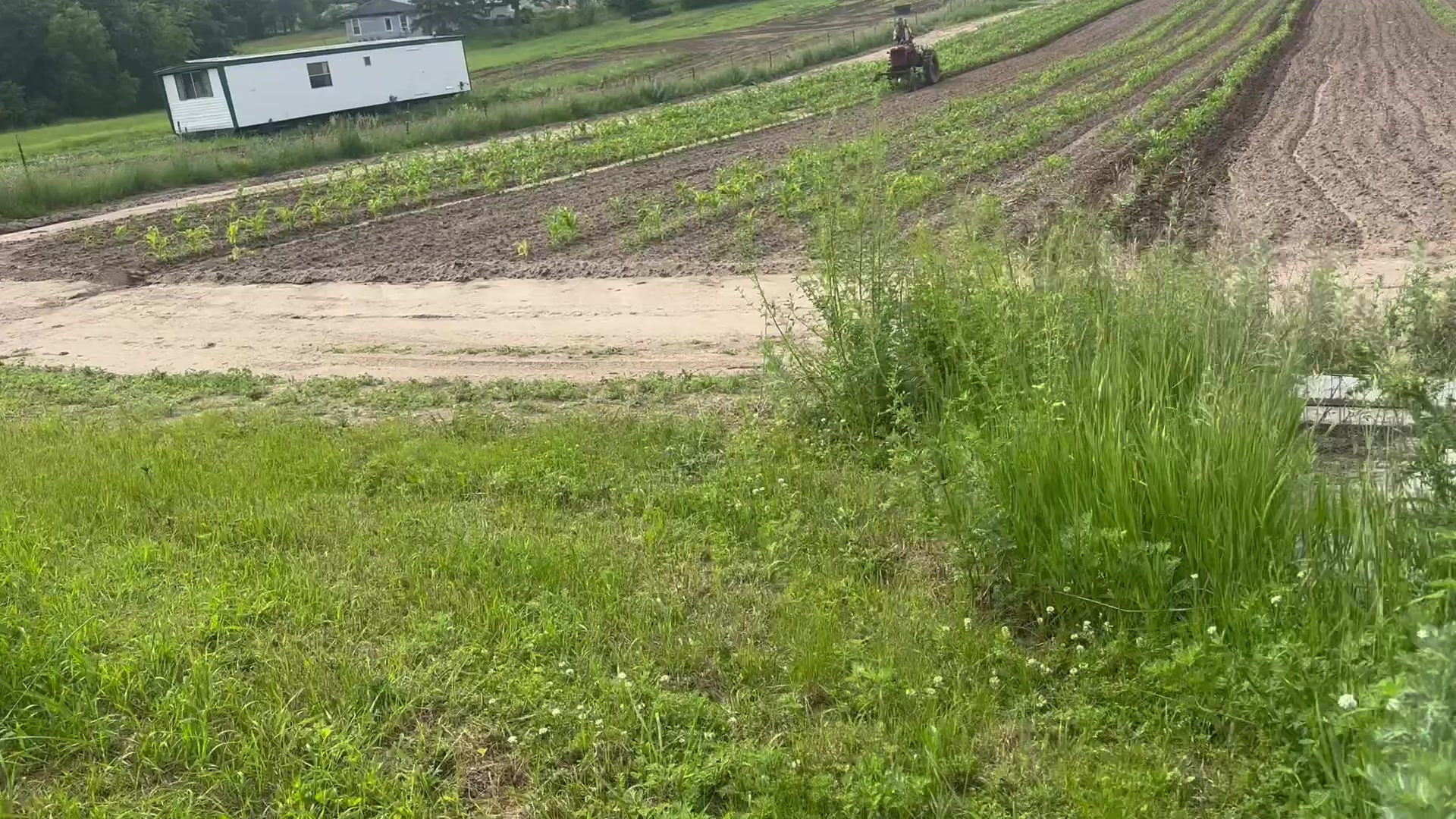 @Sharkey farms