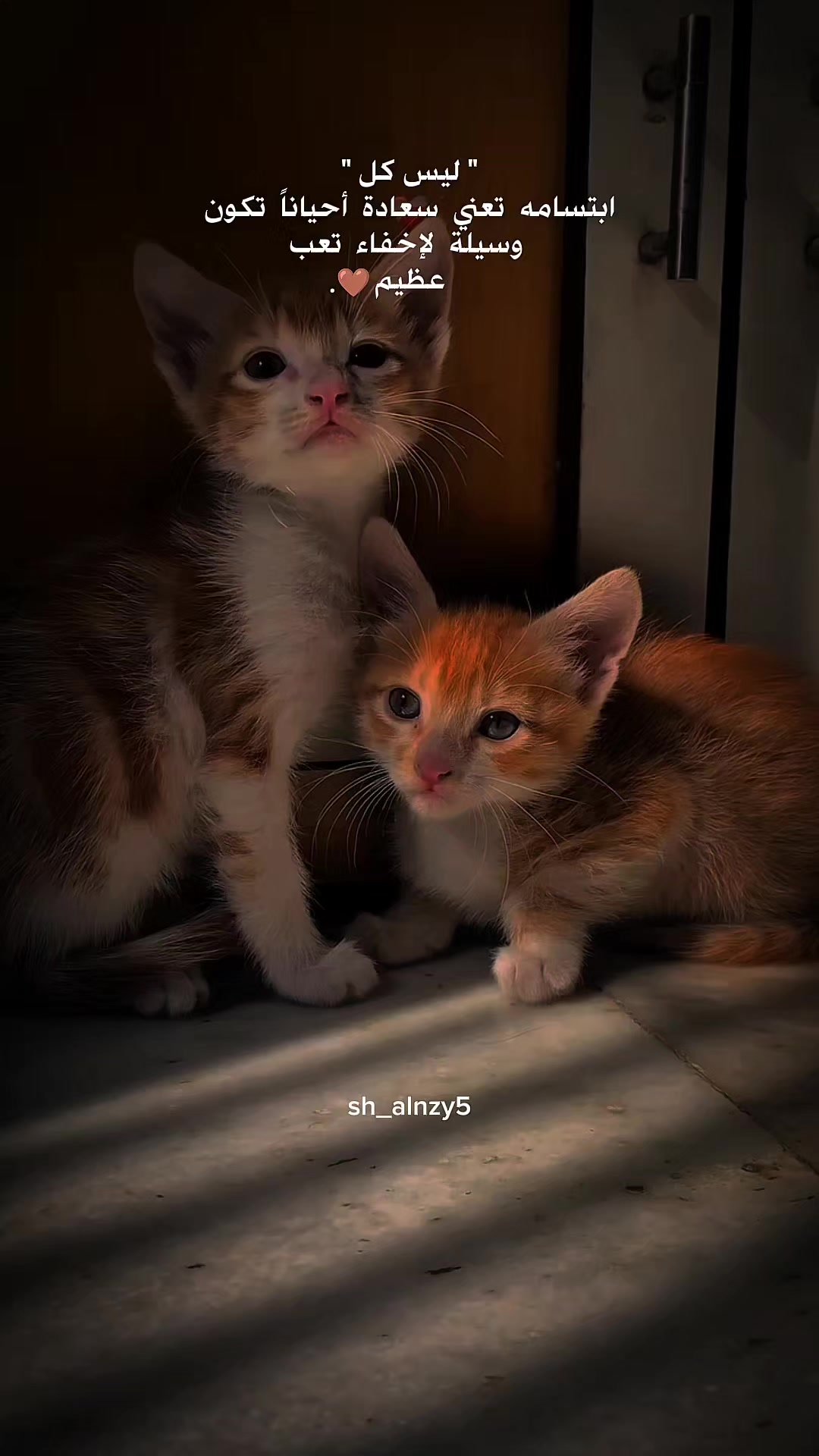@شامان العنزي