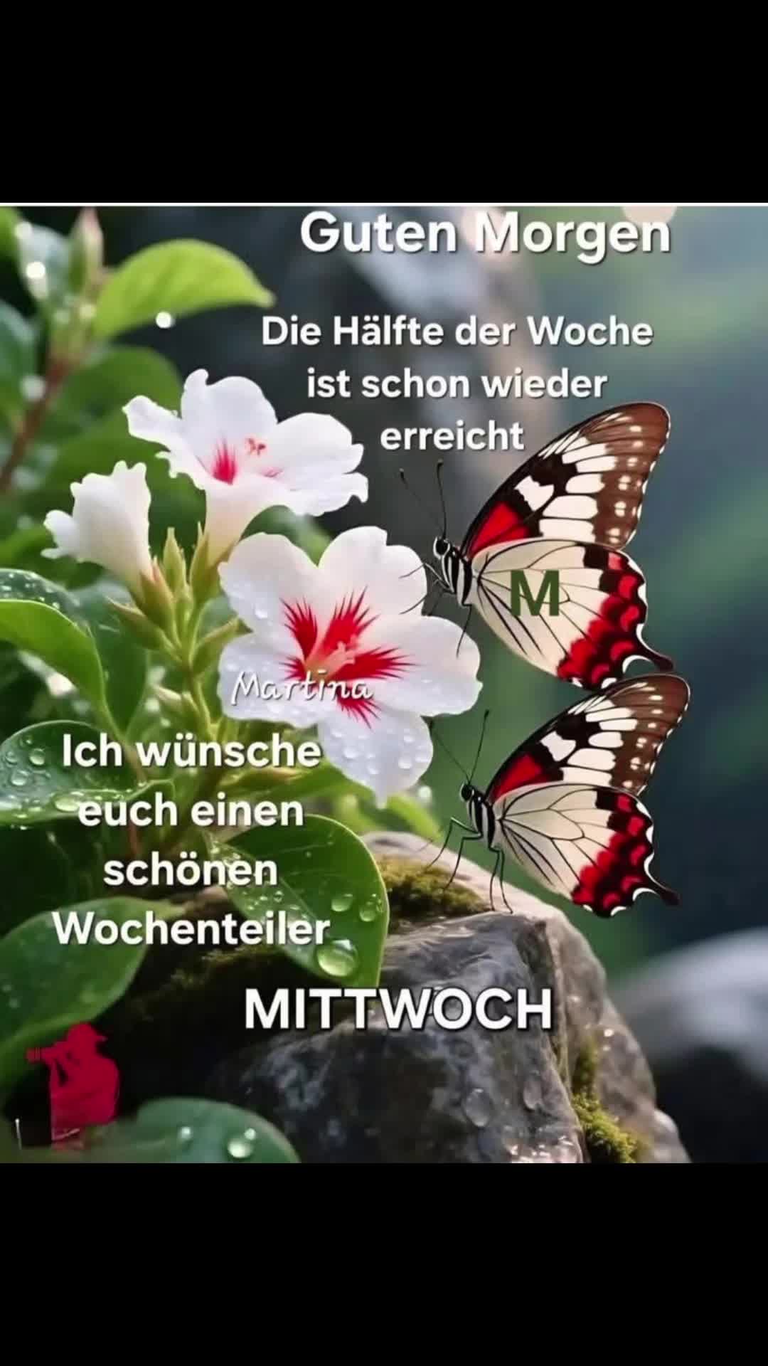 @dagmarschoondy