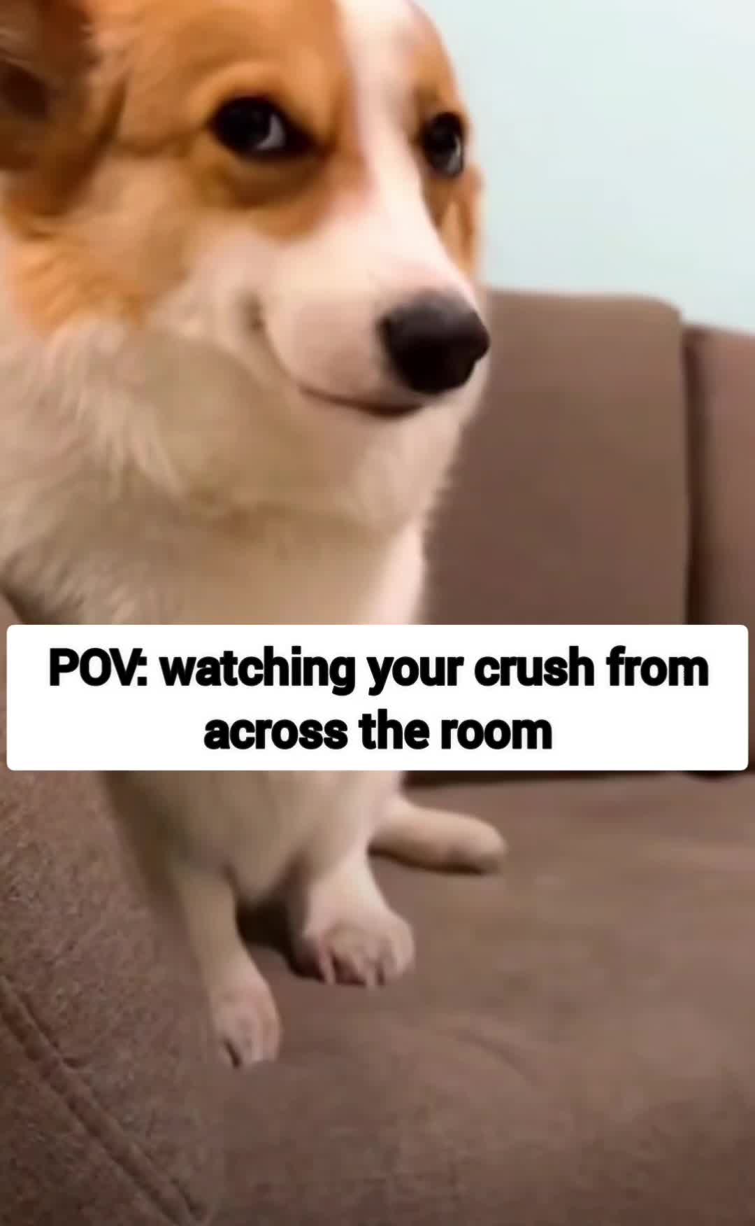@Hilarious Laughs Hub
