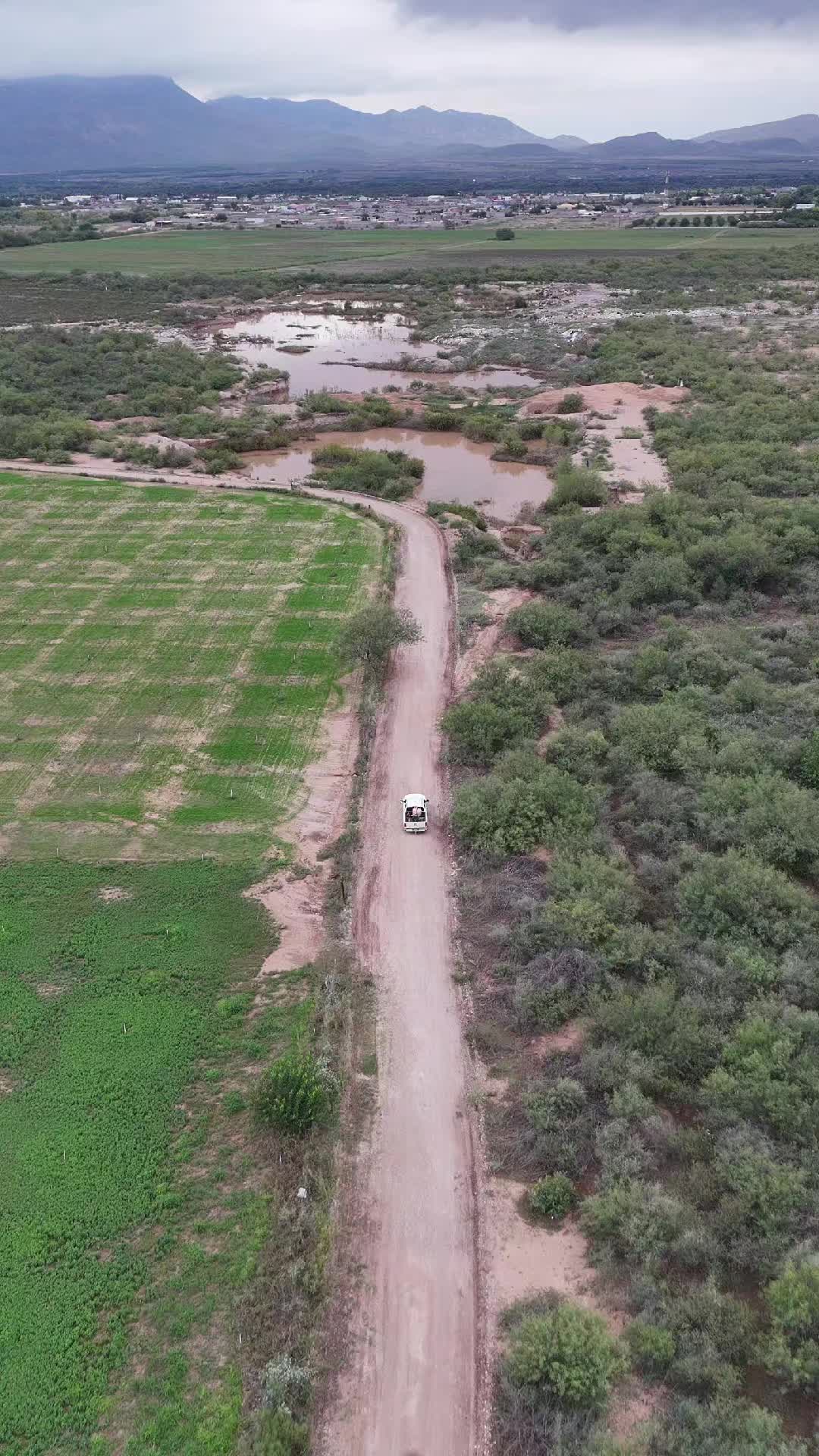 @El De La 450 Negra