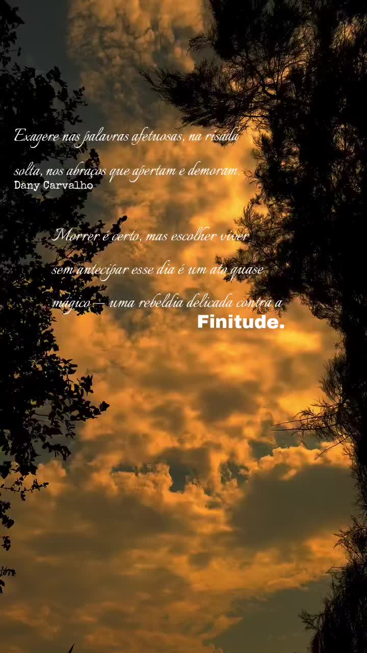 @Dany Carvalho✍️